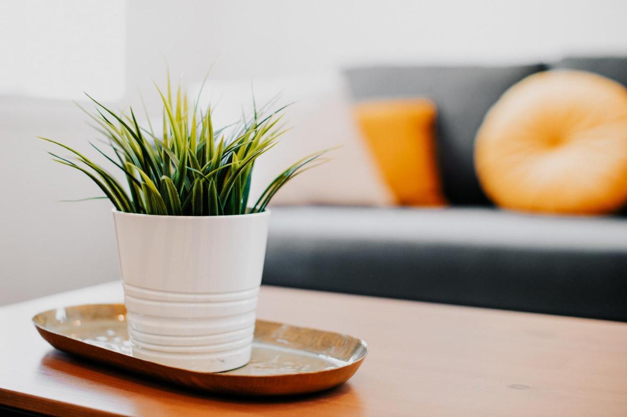 Appartement Cosy Avec Place De Parking Prive تولوز المظهر الخارجي الصورة